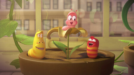 Watch Larva | Netflix Watch Larva | Netflix